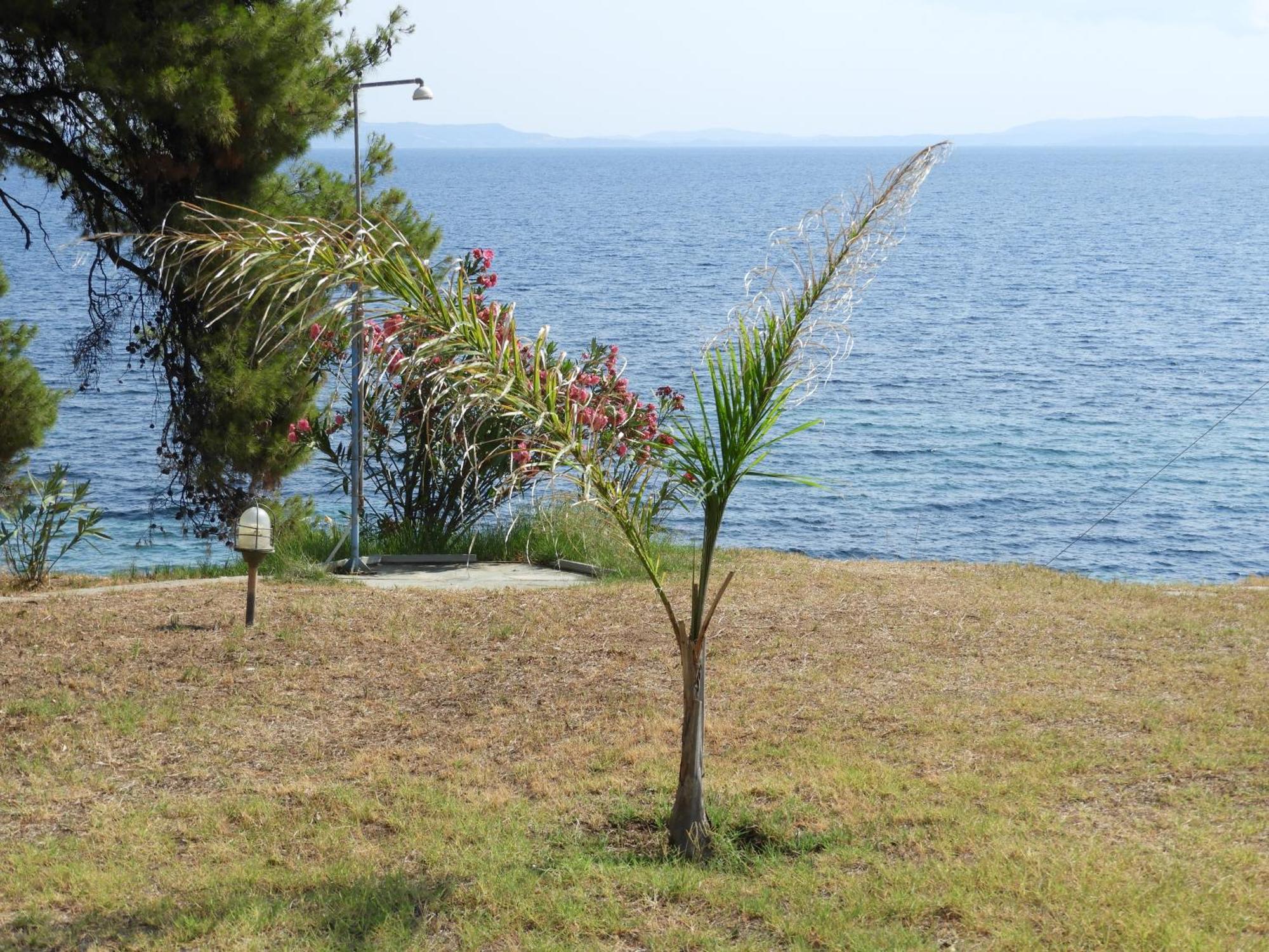 Seafront Villa Apartment 1St Floor Agios Nikolaos  Buitenkant foto